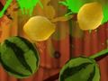 Lojë Pushim Fruit  në internet
