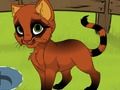 Lojë Kitten ime  në internet