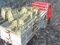 Lojë Shoferi i kamionëve jashtë rrugës  në internet
