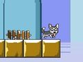 Lojë Zoti Jump Husky  në internet