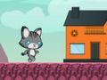 Lojë Lost Kitty shkoj në shtëpi  në internet