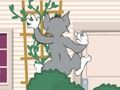 Lojë Tom dhe Jerry: Wasserbomben Wahnsinn  në internet