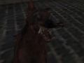 Lojë Ushtria naziste e zombies  në internet