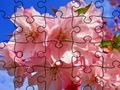 Lojë Jigsaw Puzzle: lule  në internet