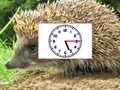 Lojë Mister Pics Clocks  në internet