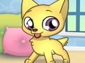 Lojë Princesha Pet Studio  në internet