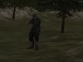 Lojë FPS: Pyll  në internet