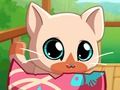 Lojë Cat mia Pocket Pets Kitty  në internet