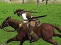 Lojë Simulatori i Riding Horse  në internet