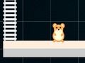 Lojë Hamster i zgjuar: çift dhe tek  në internet