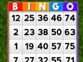 Lojë Bingo në internet
