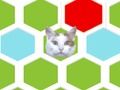 Lojë Trap Cat  në internet