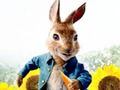 Lojë Peter Rabbit: Probleme në labirint  në internet