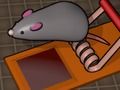 Lojë Feed Mouse  në internet