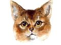 Lojë Sfida Abyssinian Puzzle  në internet