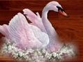 Lojë Dashuri Puzzle Zogj  në internet