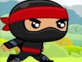 Lojë Ninja në internet