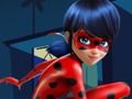Lojë Jigsaw Ladybug  në internet