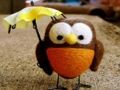 Lojë Puzzle Owl Cute  në internet