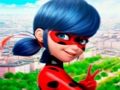 Lojë Koleksioni i Jigsaw Puzzle LadyBug  në internet