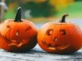 Lojë Kunguj Halloween argëtues  në internet