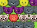 Lojë Kitty pop-pop  në internet
