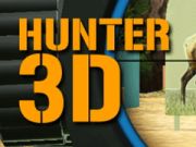 Lojë Hunter 3D në internet