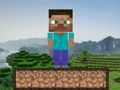 Lojë Mbijetesa në Minecraft  në internet
