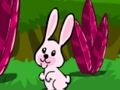 Lojë Hopping Rabbit arratisjes  në internet