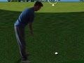 Lojë Flash Golf 3D  në internet