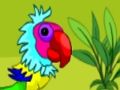 Lojë Arratisja e Çiftit Macaw  në internet