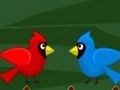 Lojë Arratisjes Toco Toucan  në internet