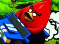 Lojë Shpendët ACE Downhill  në internet