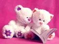 Lojë Slide Cute Teddy Bears  në internet