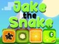 Lojë Jake the Snake në internet