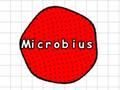 Lojë Mikrobius  në internet