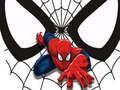 Lojë Kartat e ndeshjes Spiderman  në internet