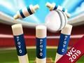 Lojë Mini Cricket: Kampionati në Tokë Kupa e Botës 2019  në internet