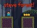 Lojë Steve Forest në internet