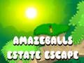 Lojë Arratisjes Amazeballs Estate  në internet
