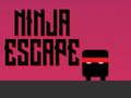 Lojë Shpëtuar ninja  në internet