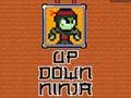 Lojë Lart Poshtë Ninja  në internet