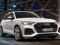 Lojë Audi Q5 TDI enigmë në internet