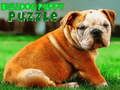 Lojë Puzzle qenush Bulldog  në internet