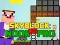 Lojë Noob vs problock në internet