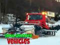Lojë Automjetet Snow Groomer  në internet
