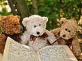Lojë Shtazët me tre Teddy Jigsaw  në internet