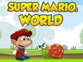 Lojë Bota e Super Marios  në internet