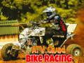 Lojë ATV Katër Bike Gara  në internet