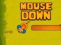 Lojë Mouse Poshte  në internet